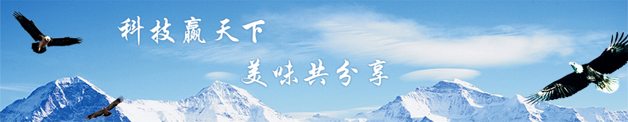 內(nèi)頁(yè)廣告